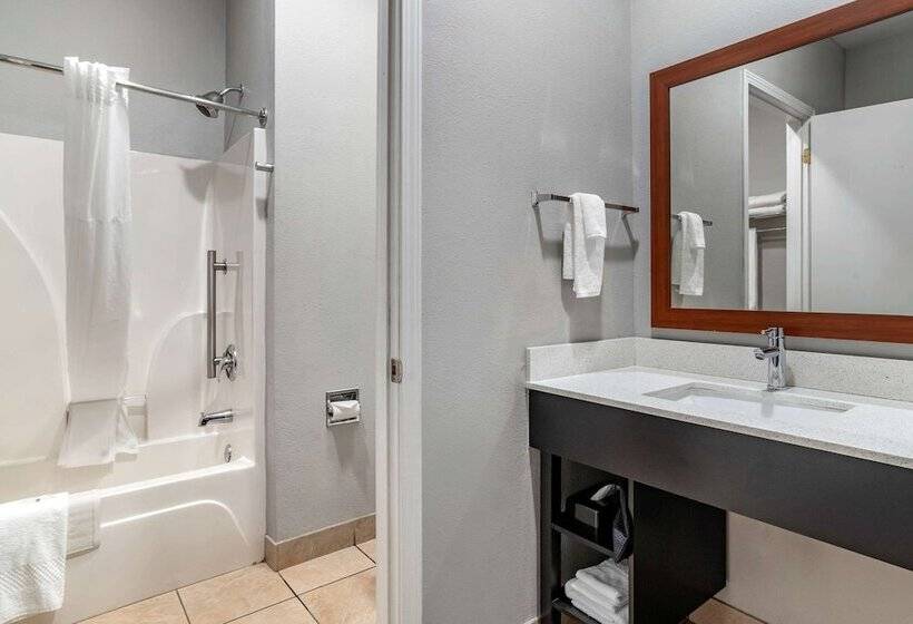 Номер Стандарт 2 Двуспальные Кровати, Quality Inn & Suites