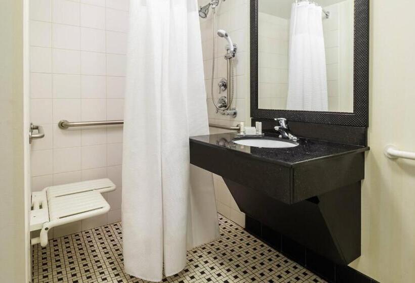 اتاق استاندارد با تخت بزرگ, Fairfield Inn & Suites – Buffalo Airport