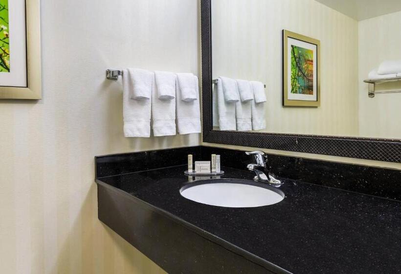 Номер Стандарт, Fairfield Inn & Suites – Buffalo Airport