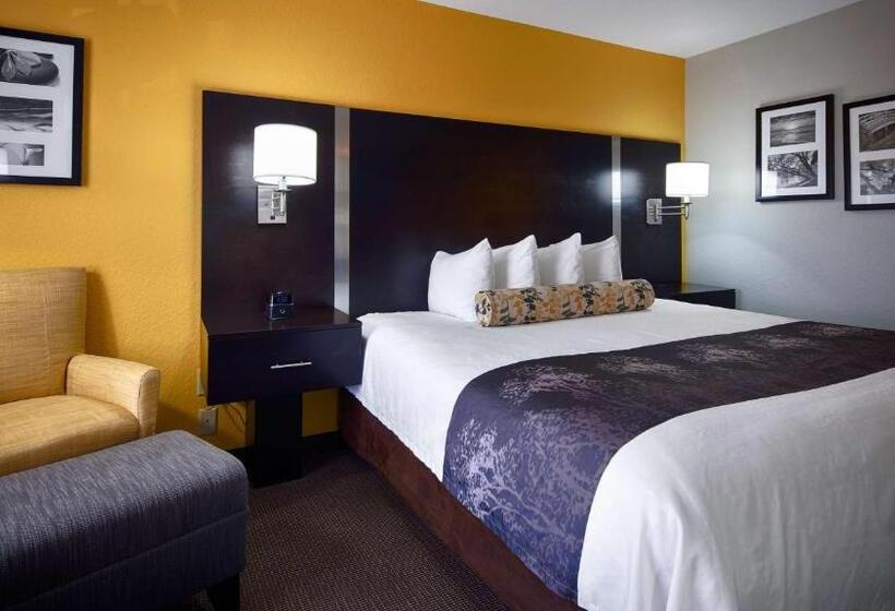 Стандартный Номер Кровать Кинг, Best Western Plus Fairburnatlanta Southwest