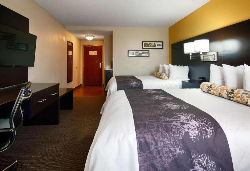 스탠다드 룸, Best Western Plus Fairburnatlanta Southwest