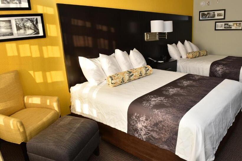 Номер Стандарт, Best Western Plus Fairburnatlanta Southwest