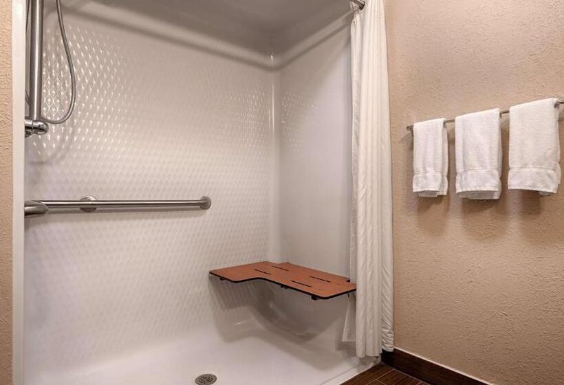 Номер Стандарт Кровать Кинг Адаптированный для Инвалидов, Best Western Plus Fairburnatlanta Southwest