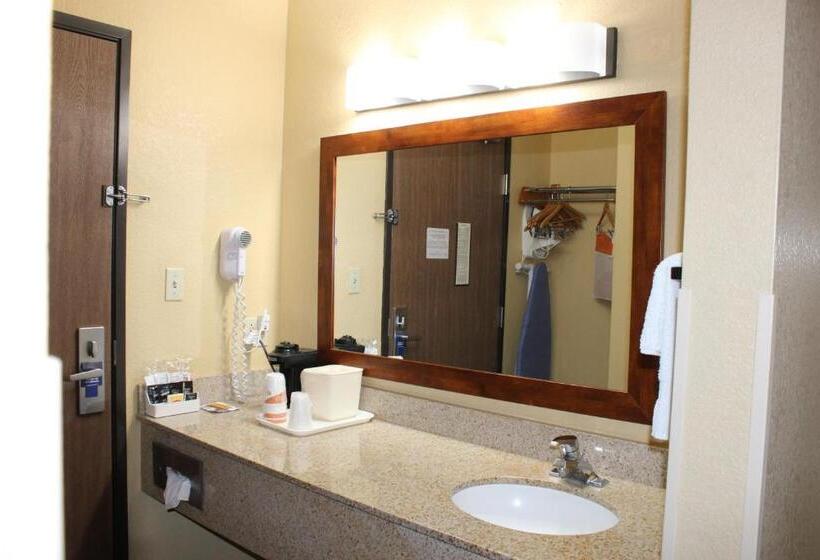 Номер Стандарт 2 Двуспальные Кровати, Comfort Inn Green Valley I 19