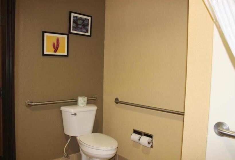 Номер Стандарт Кровать Кинг Адаптированный для Инвалидов, Comfort Inn Green Valley I 19