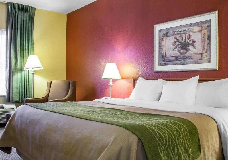 Стандартный Номер Кровать Кинг, Comfort Inn Green Valley I 19