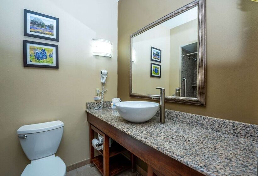 Люкс, Comfort Suites Old Town Spring