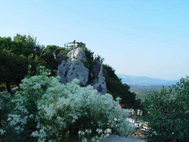 Номер Стандарт, Levant