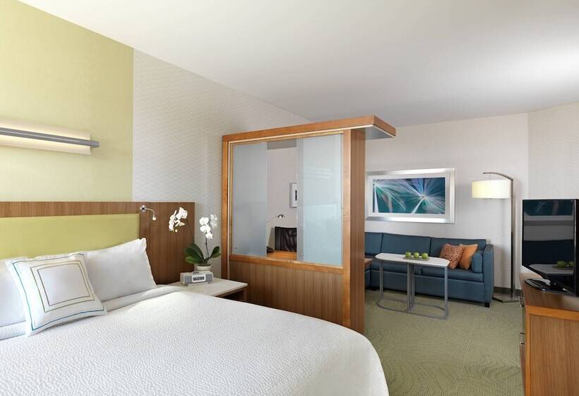 스위트, Springhill Suites By Marriott Lake Charles