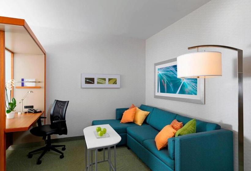 스위트 킹사이즈 침대, Springhill Suites By Marriott Lake Charles