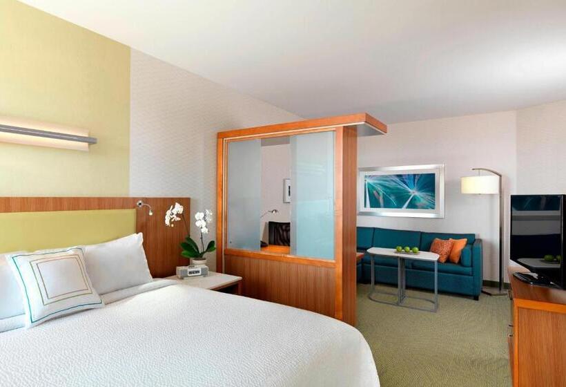 스탠다드 스튜디오 킹침대, Springhill Suites By Marriott Lake Charles