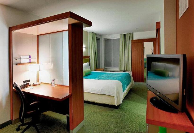 장애인을 위한 스위트, Springhill Suites By Marriott Lake Charles