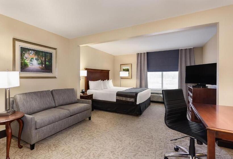Стандартный Номер Кровать Кинг, Wingate By Wyndham Columbia / Lexington