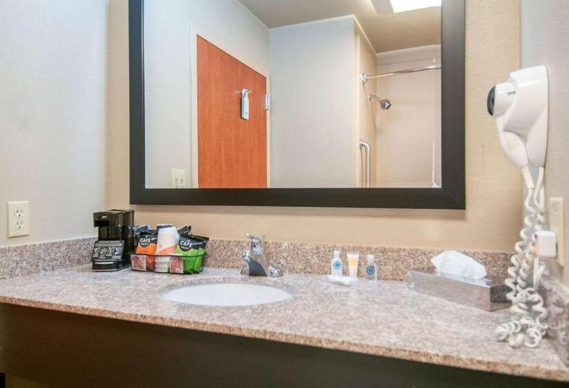 Стандартный Номер Кровать Кинг, Comfort Inn & Suites Pauls Valley  City Lake