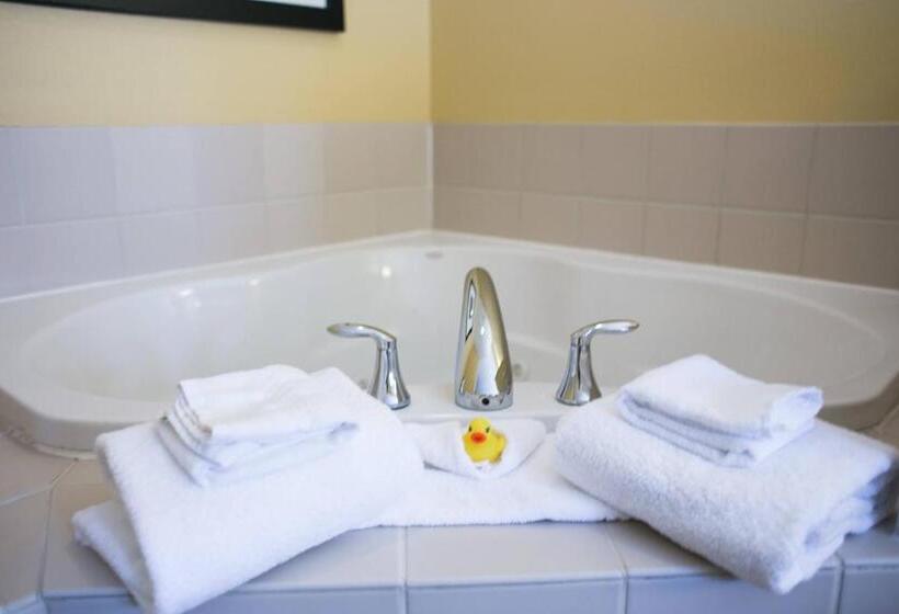 غرفة قياسية سرير كينج, Courtyard Fargo Moorhead, Mn