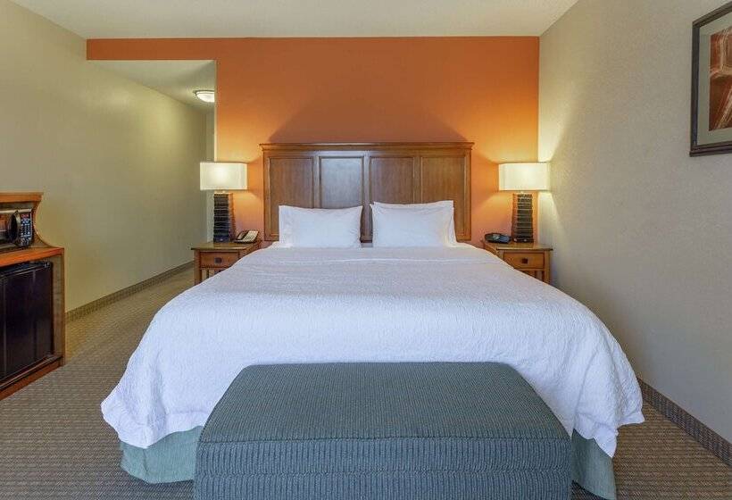 스탠다드 룸, Hampton Inn Okeechobee   Lake Okeechobee