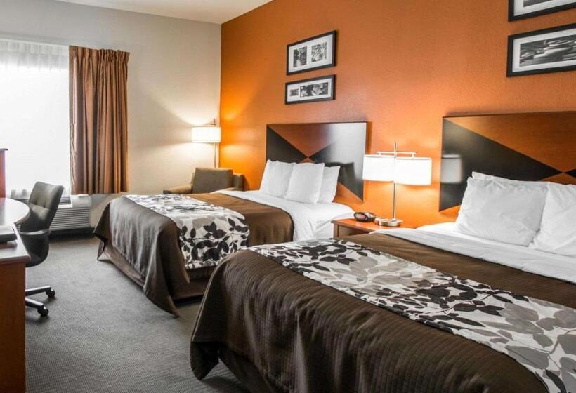 Номер Стандарт, Sleep Inn & Suites Palatka North