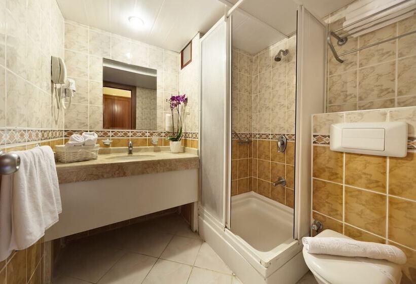 Номер Economy, Golden Age Crystal Bodrum   All Inclusive
