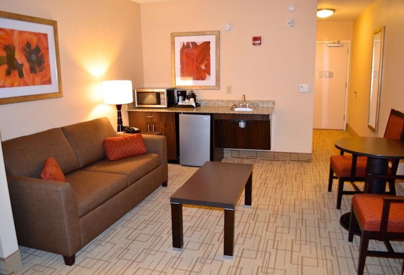 Люкс Адаптированный для Инвалидов, Holiday Inn Express & Suites   Smithfield/selma, An Ihg