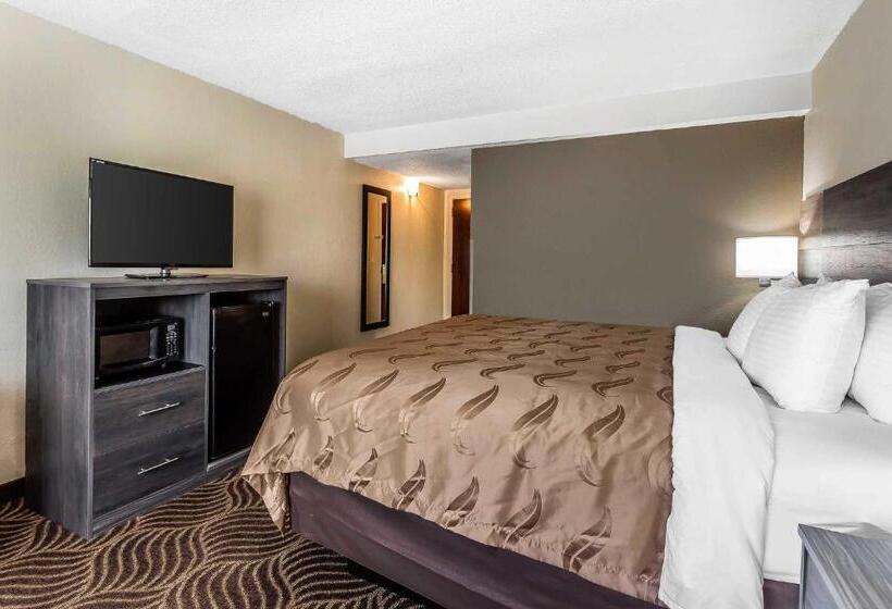 Стандартный Номер Кровать Кинг, Quality Inn & Suites