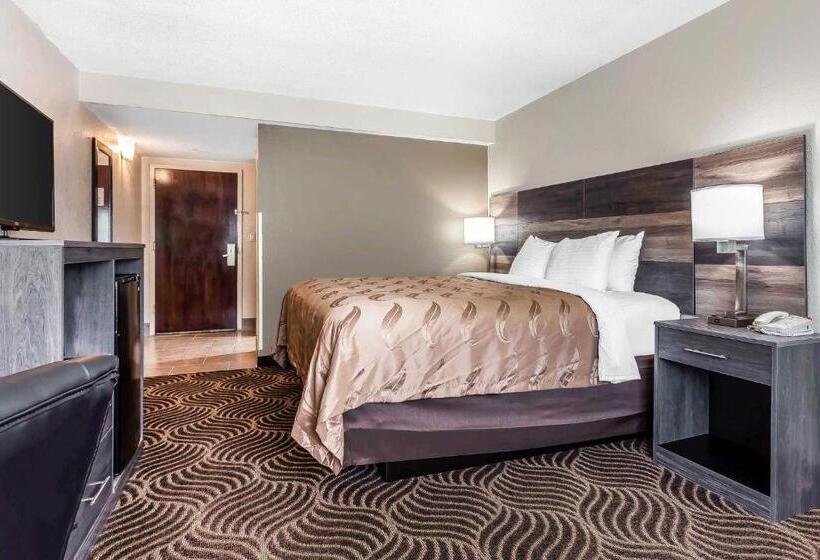 Номер Стандарт Кровать Кинг Адаптированный для Инвалидов, Quality Inn & Suites