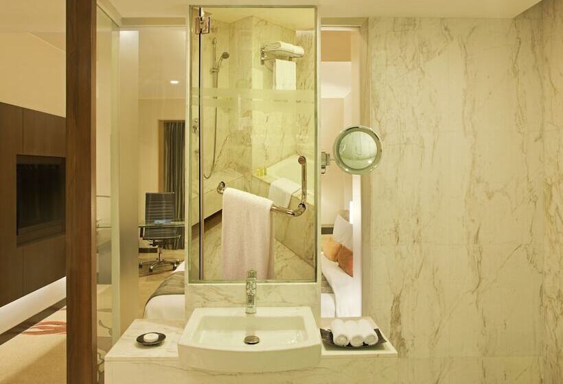 商务房间, Radisson Blu Hotel Amritsar