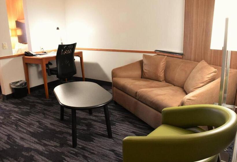 Студио Стандарт Кровать Кинг, Fairfield Inn And Suites By Marriott Strasburg Shenandoah Valley