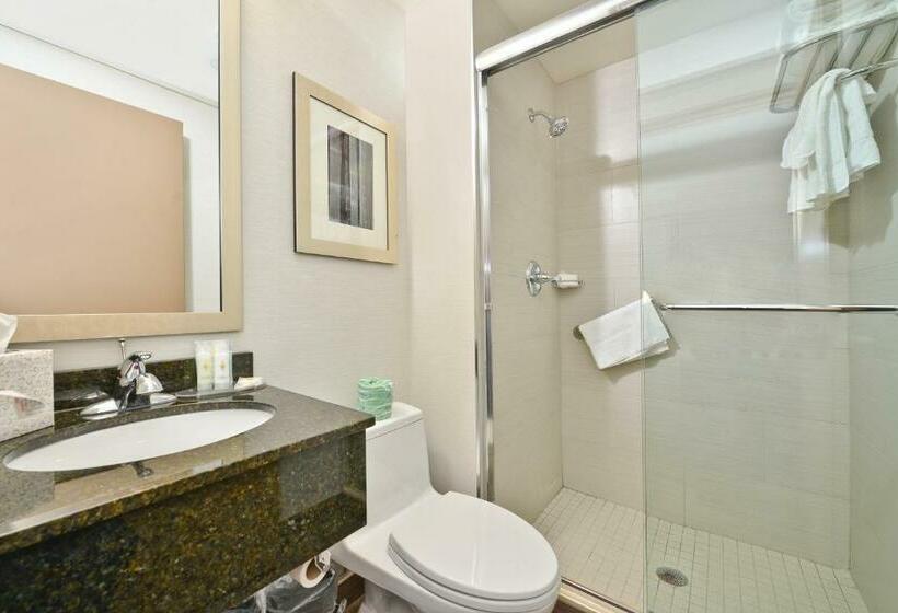 스탠다드 룸 킹사이즈 침대, Comfort Inn Manhattan  Midtown West
