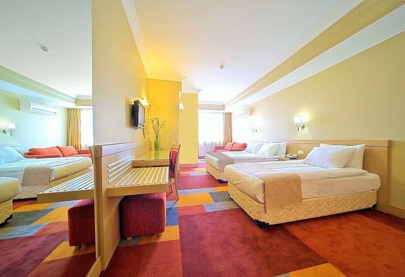 Номер Стандарт Индивидуальный, Sv Business Hotel Diyarbakır