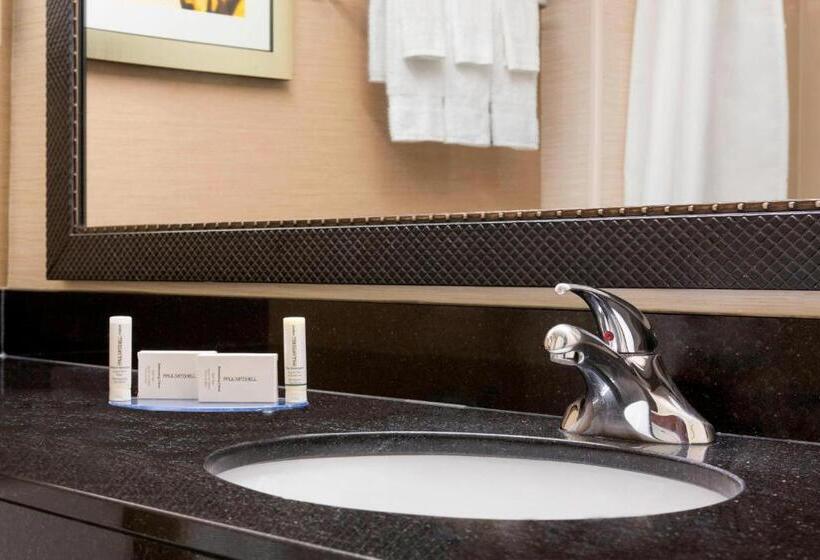 Стандартный Номер Кровать Кинг, Fairfield Inn & Suites Minneapolisst. Paul Airport