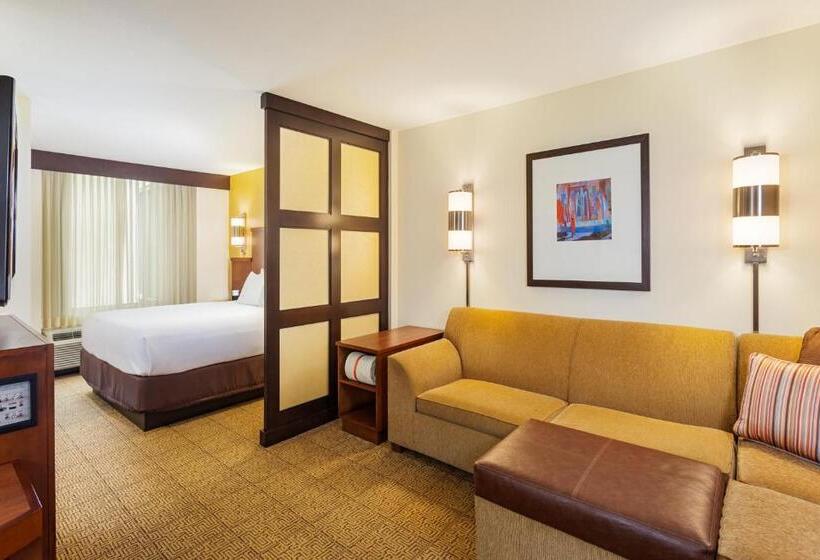 Номер Стандарт Кровать Кинг Адаптированный для Инвалидов, Hyatt Place San Diego/vista Carlsbad