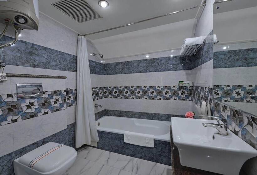 스위트, Bravia Hotel Manali Inn