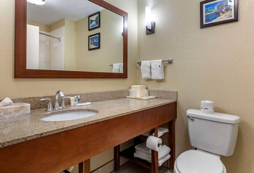 Люкс, Comfort Suites Clayton  Garner