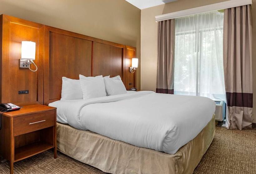 Люкс, Comfort Suites Clayton  Garner