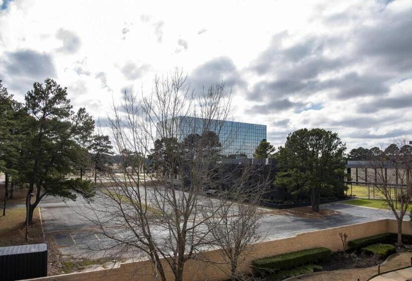 스탠다드 룸 킹사이즈 침대, Courtyard Shreveport Airport