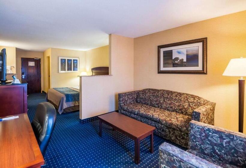 Люкс Кровать Кинг, Comfort Inn & Suites