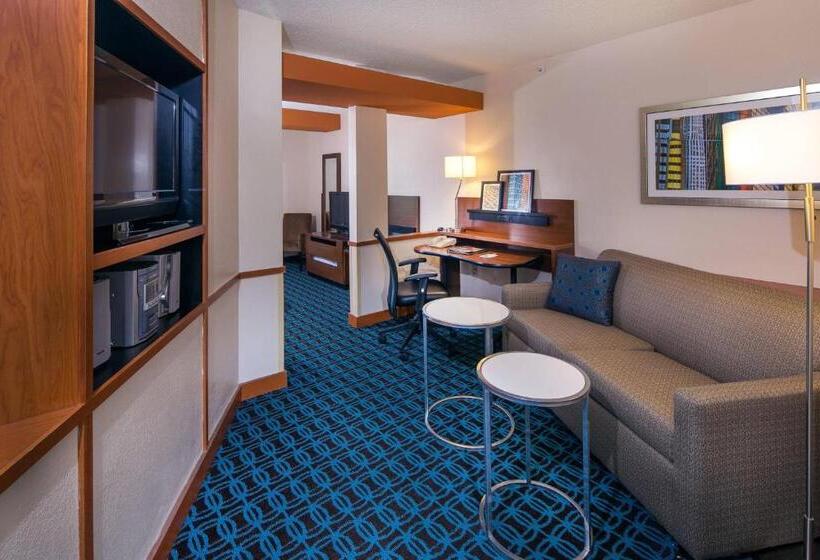 Люкс Executive Кровать Кинг, Fairfield Inn & Suites By Marriott Dover
