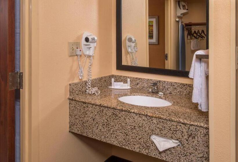 اتاق استاندارد, Fairfield Inn Dulles Airport Chantilly