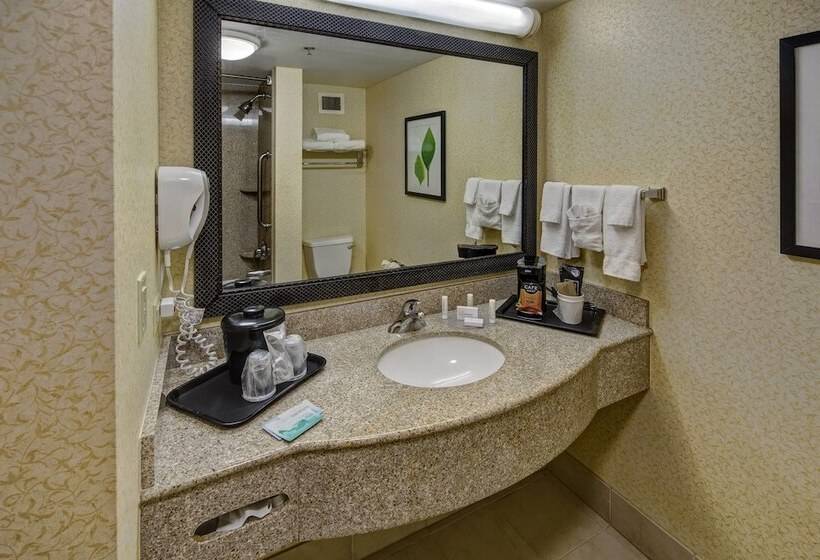 سوییت اجرایی, Stones River Inn & Suites