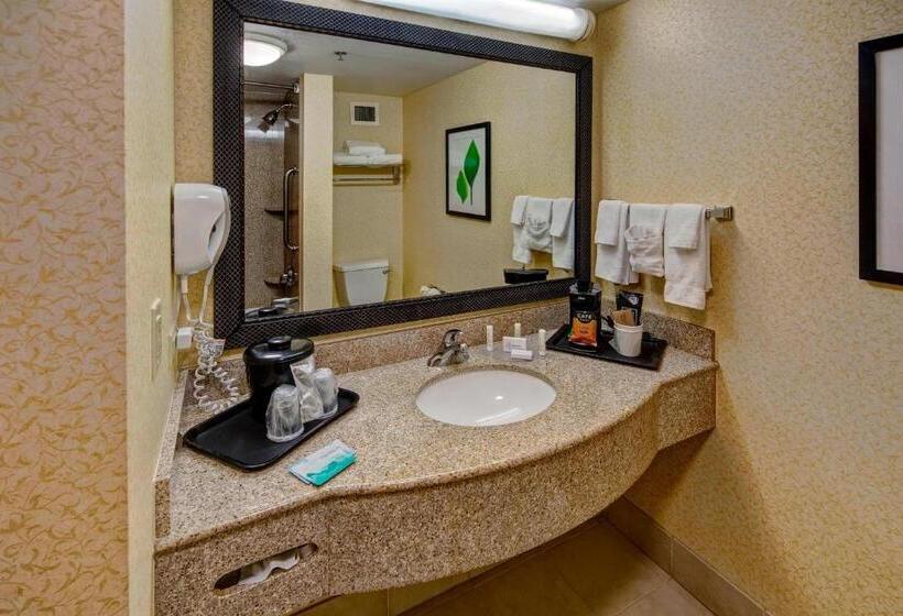 اتاق استاندارد با تخت بزرگ, Stones River Inn & Suites