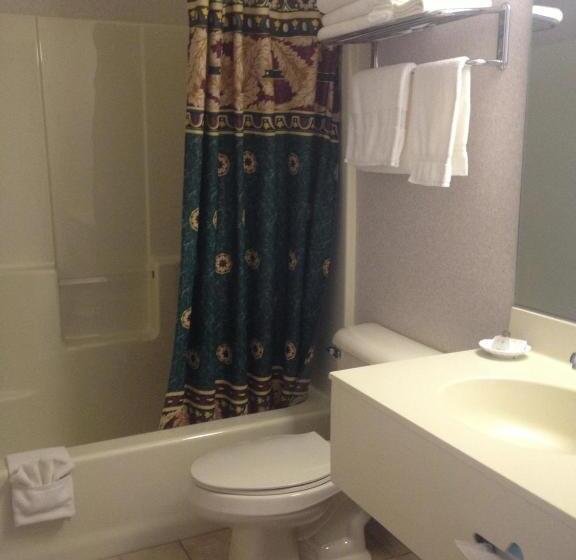 Стандартный Номер Кровать Кинг, Parkside Inn Bridgeview