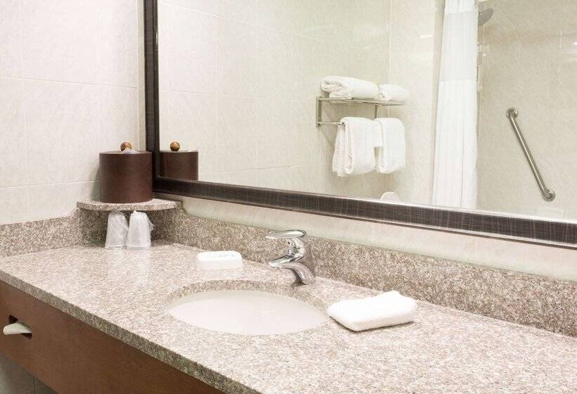 디럭스 룸, Drury Inn & Suites Birmingham Lakeshore Drive