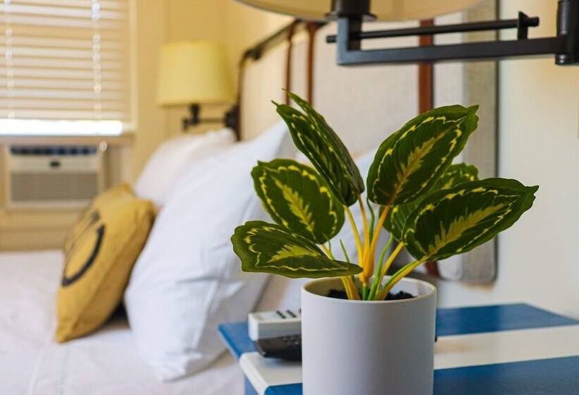 اتاق استاندارد, Mercury Hotel Provincetown