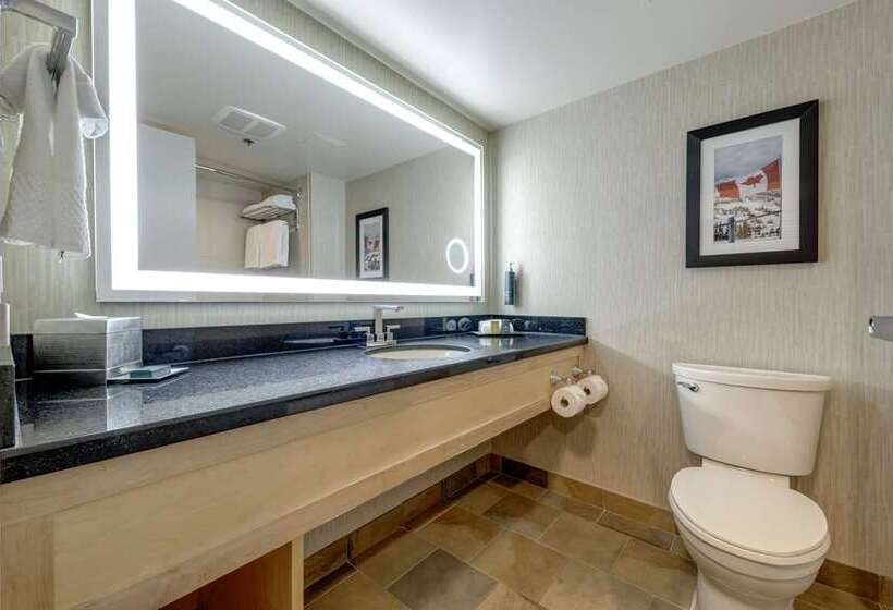 Стандартный Номер Кровать Кинг, Vetro Iowa City, Tapestry Collection By Hilton