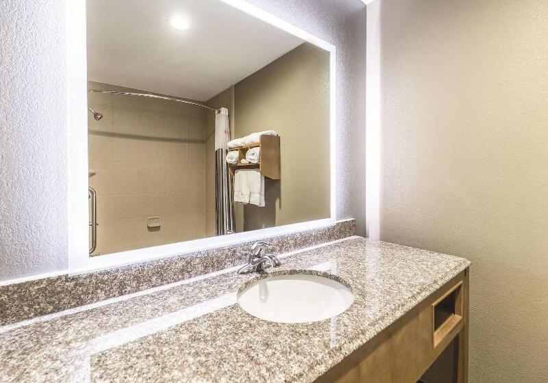 Номер Deluxe Кровать Кинг, La Quinta By Wyndham Tulsa   Catoosa