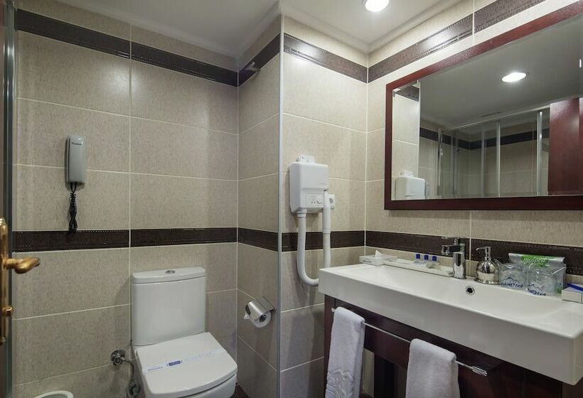 Standard Room, Palan