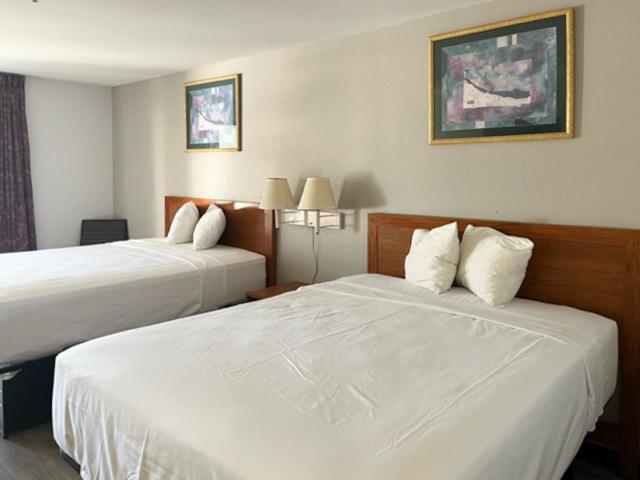 豪华房间, Motel 6 Laurel, Ms