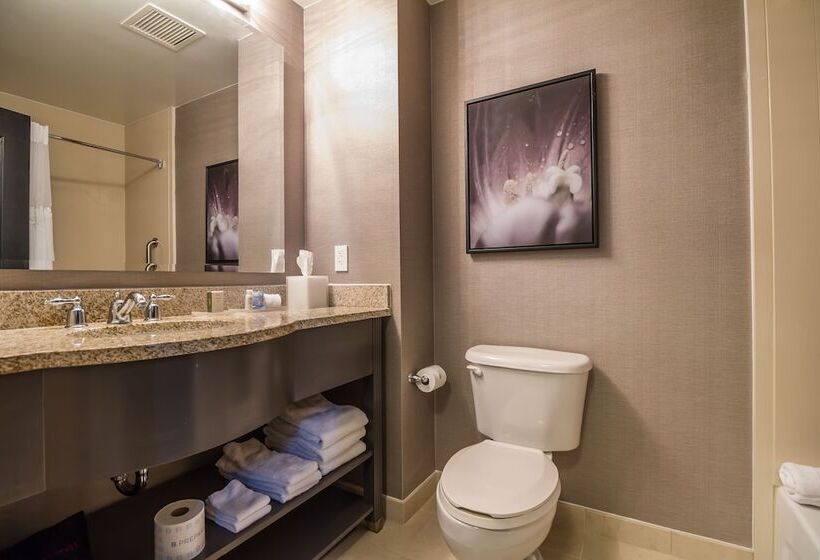 סוויטה מותאמת לאדם עם מוגבלויות, Tryp By Wyndham Savannah