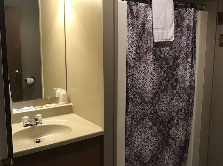 Номер Стандарт 2 Двуспальные Кровати, Lake Ontario Motel & Inn