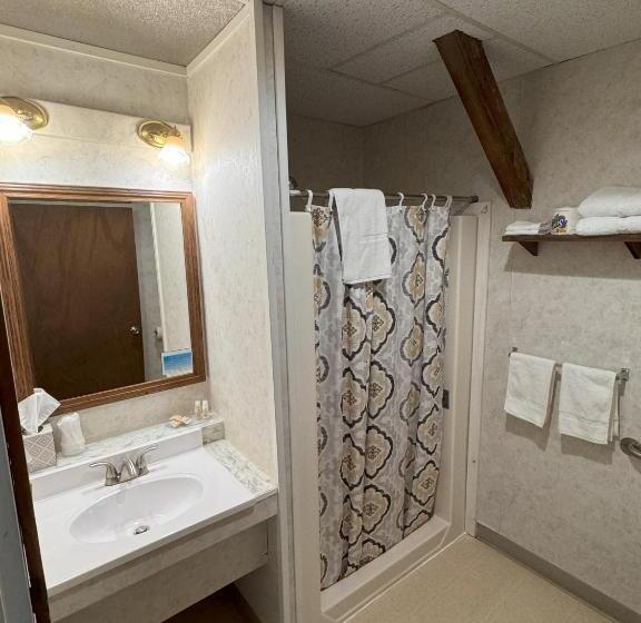 Номер Стандарт Адаптированный для Инвалидов, Lake Ontario Motel & Inn